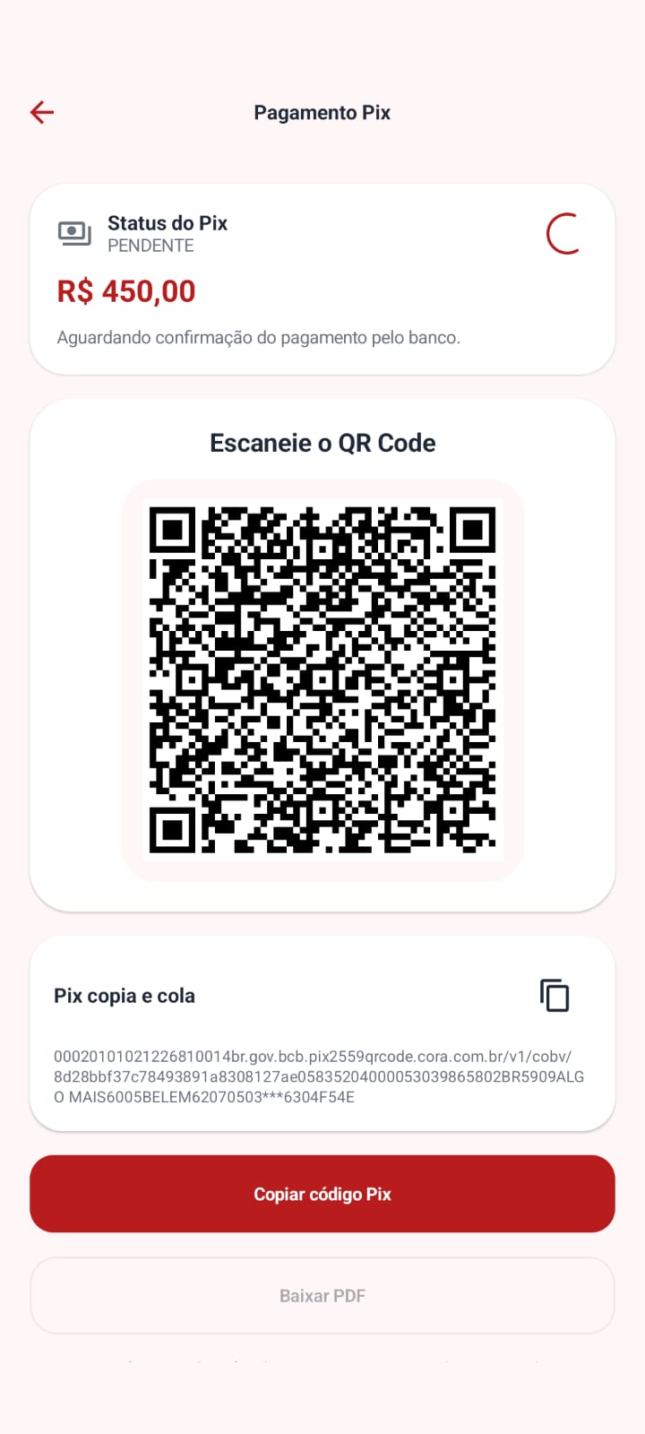 Pagamento Pix
